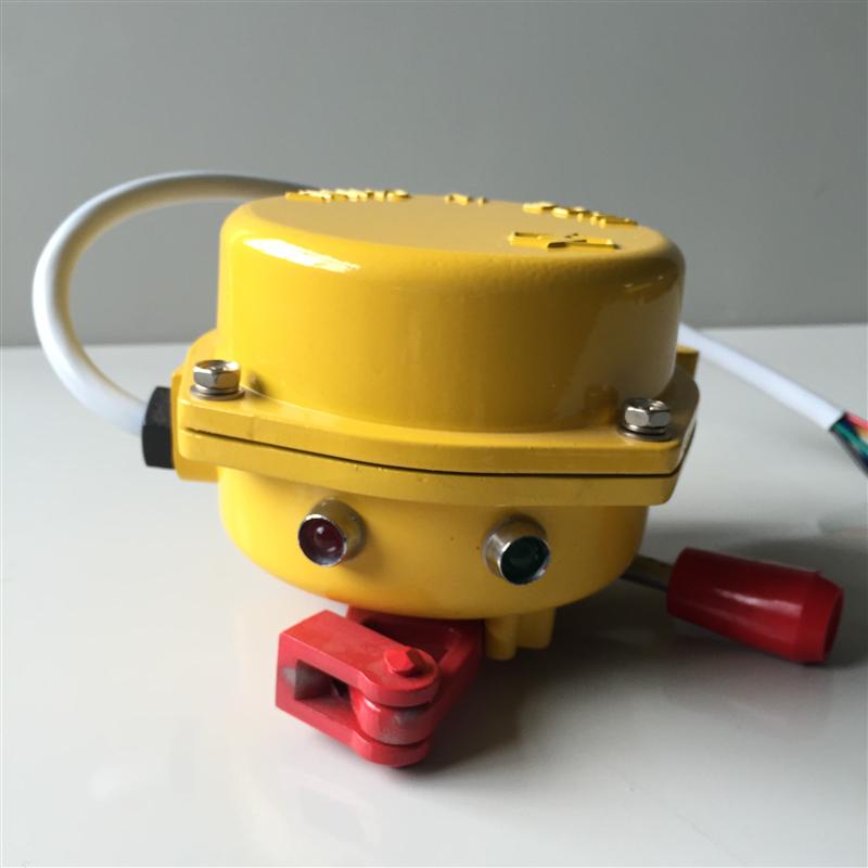 XD-TA-2拉繩開關帶光顯 XD-TA-2拉繩開關帶光顯